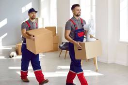 Professionals From Tip-to-Toe